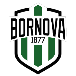 Team Logo