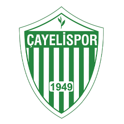Team Logo