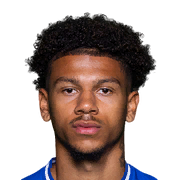 Bryan Fiabema