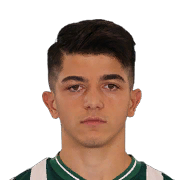 Şahin Dik