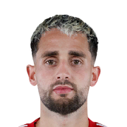 Adnan Januzaj