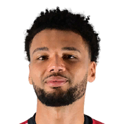 Lee Angol