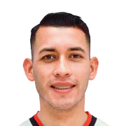 Luis Demiquel