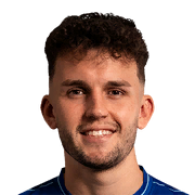 Fran Topić