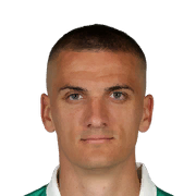 Nenad Cvetković