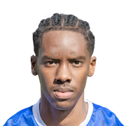 Harvey Araujo