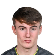 Alex Noonan