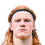 Elvis van der Laan