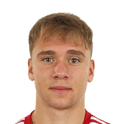 Daniel Sandu