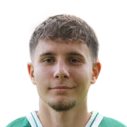 Altin Ibisi