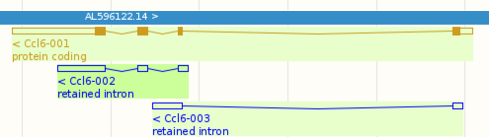 Ccl6_splicing_graphs