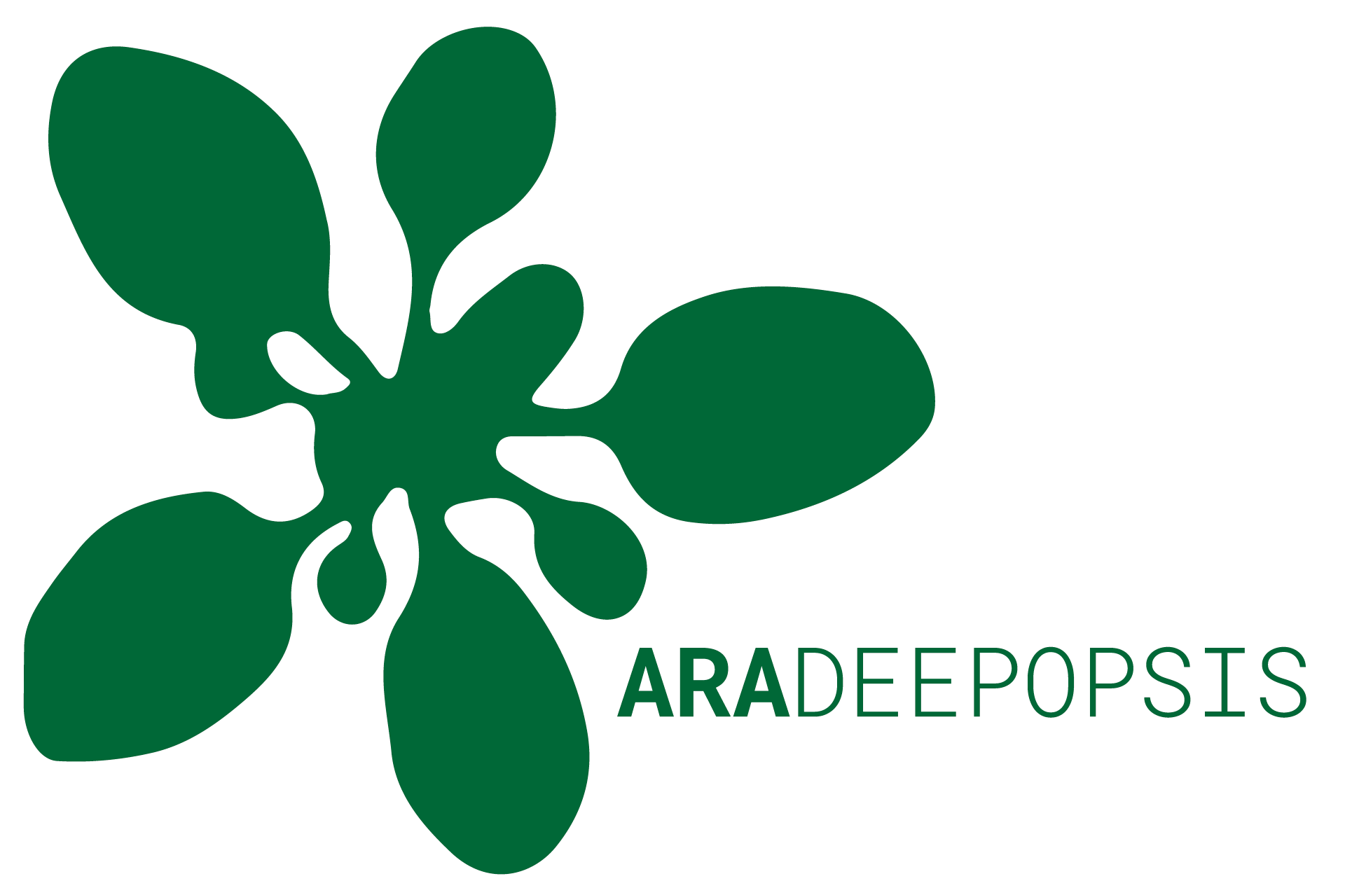 araDeepopsis