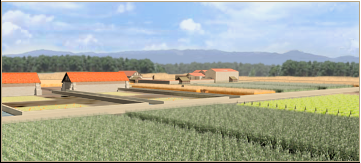 Marsh Drainage Channels (Crops)