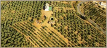 Olive Oil Mill (Rural)
