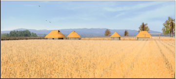 Crop Rotation (Crops)
