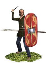 Celtic Skirmishers info card