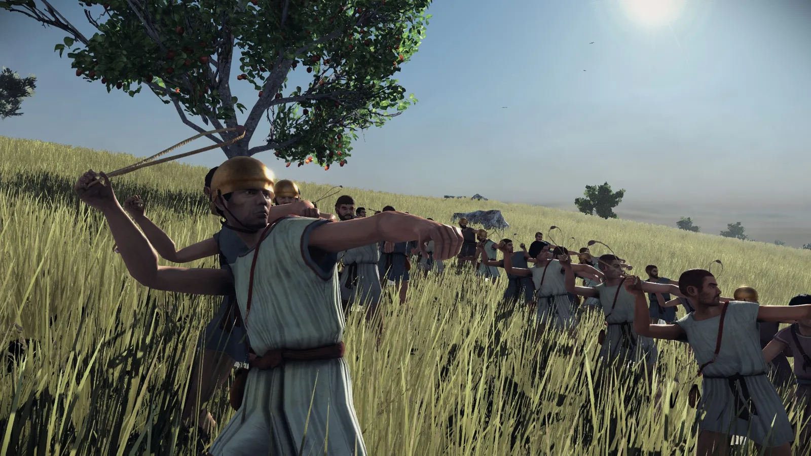 Developer diary image