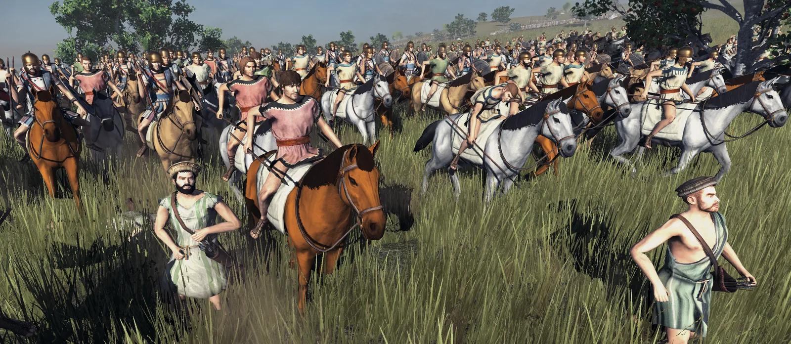 Developer diary image