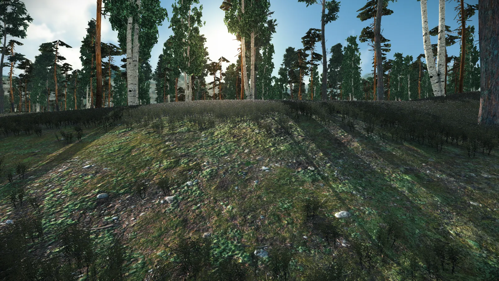 Developer diary image