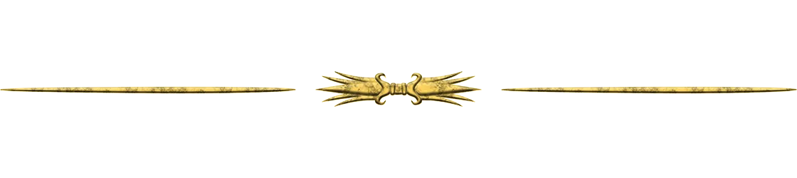 Developer diary image