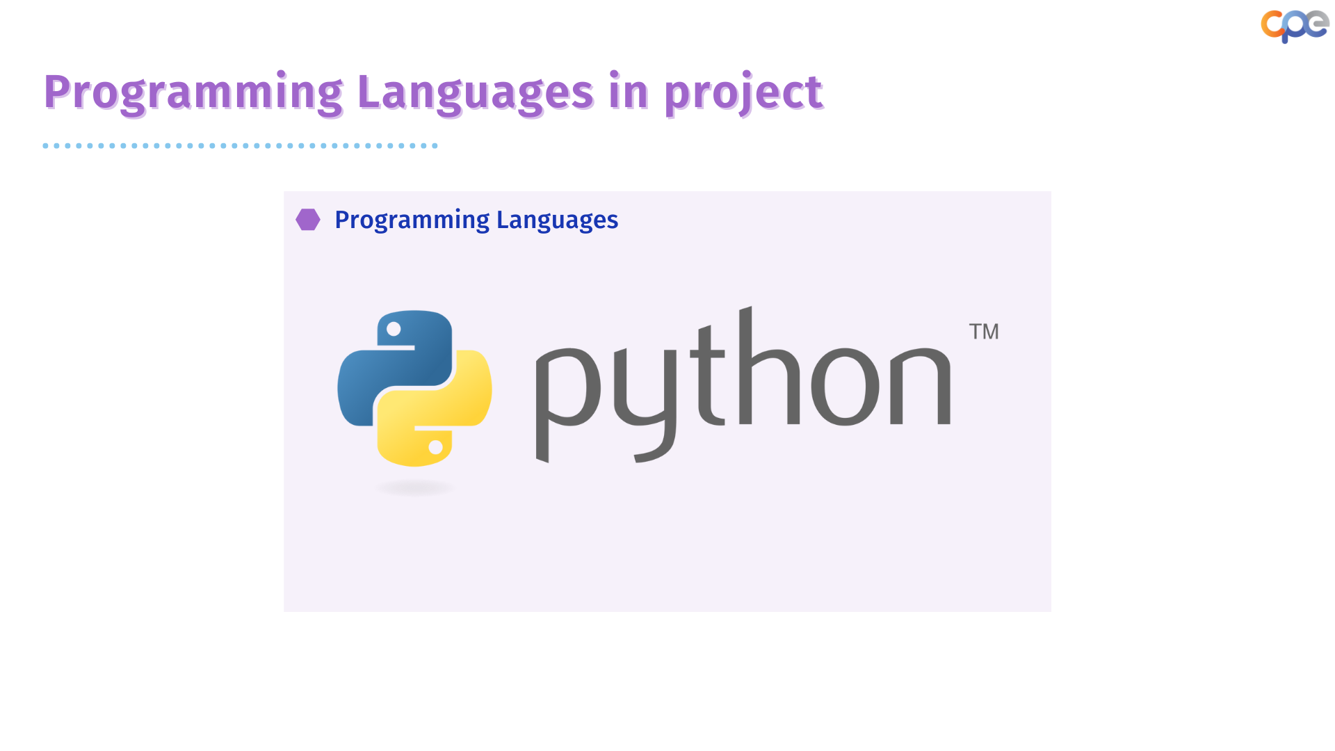 programming languages in project