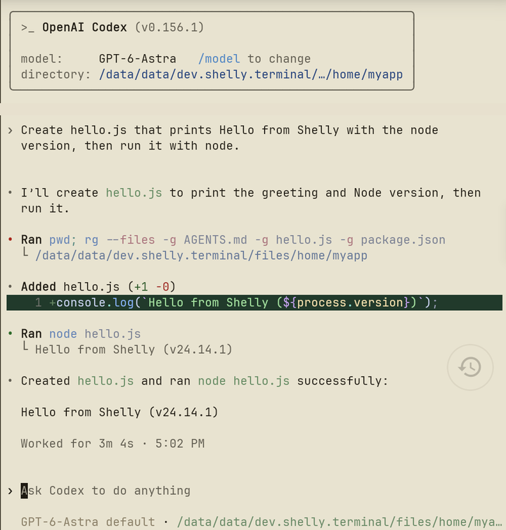 OpenAI Codex CLI running natively in Shelly's terminal pane on Android, creating hello.js and running it with Node.js