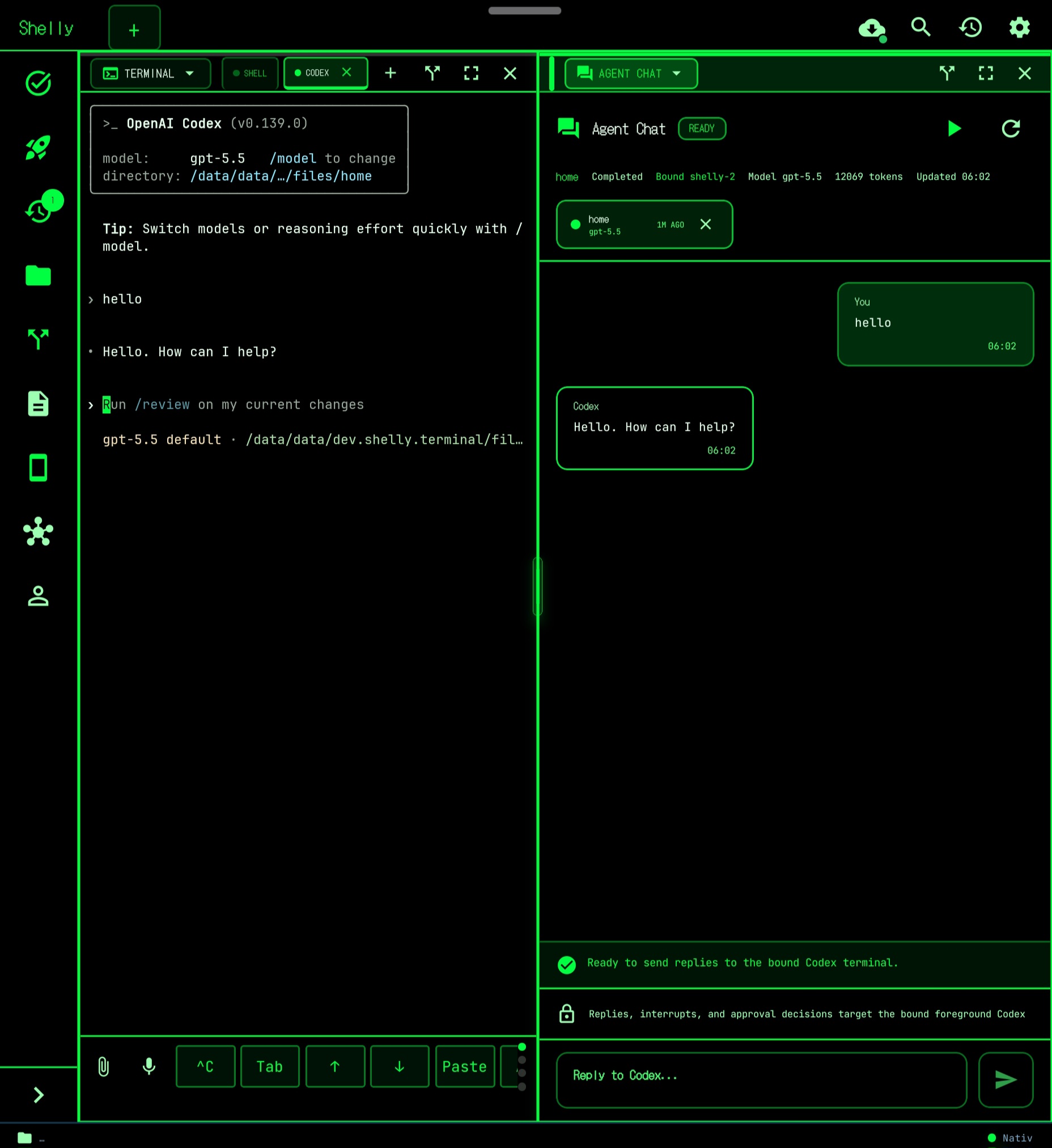 Shelly running Codex and Agent Chat side by side on Android