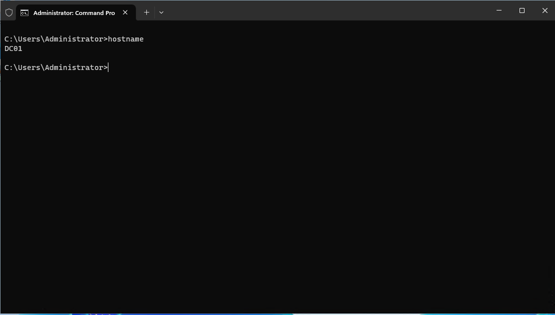 Hostname DC01