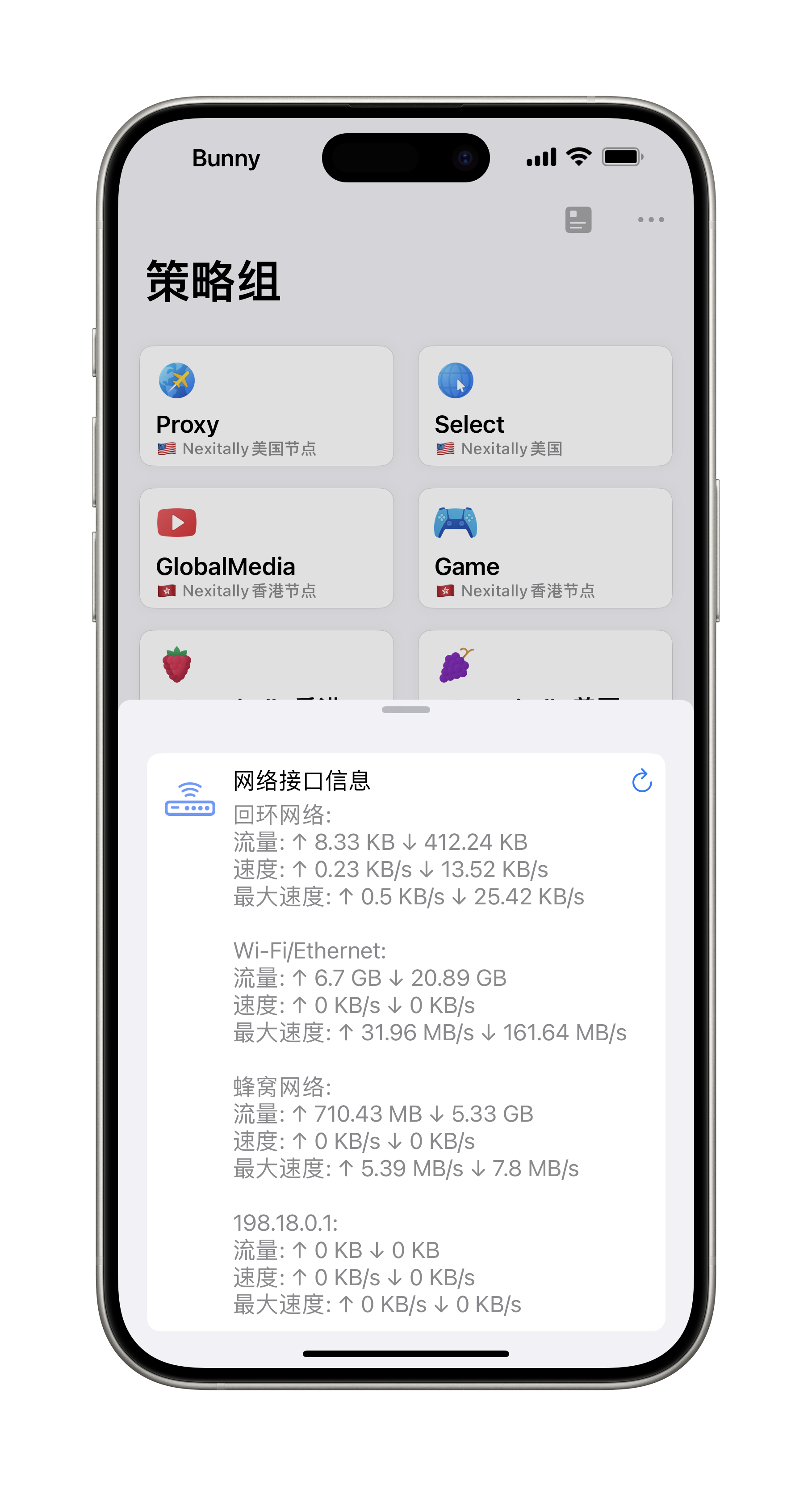 Surge/Module/Panel/Interface-Info at Master · Rabbit-Spec/Surge · GitHub