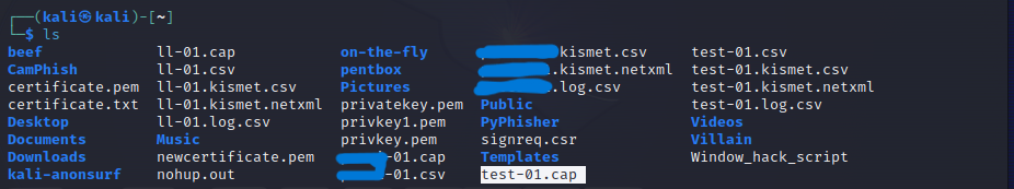 Network Adapter