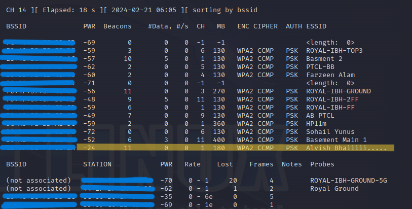 Network Adapter