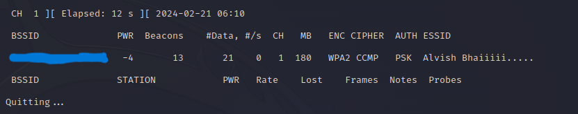 Network Adapter