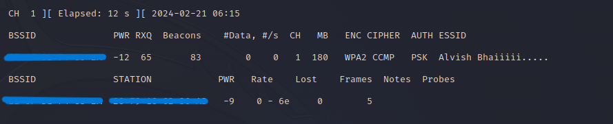 Network Adapter