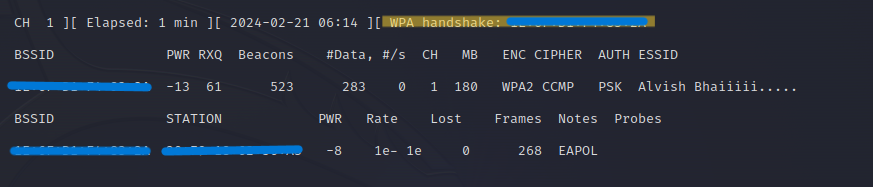 Network Adapter