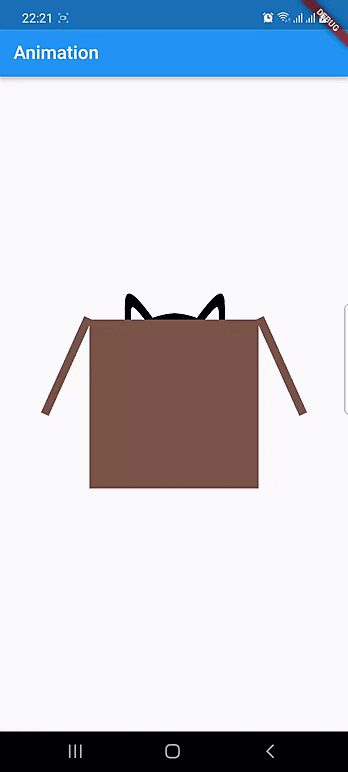 Cat In A Box Animation