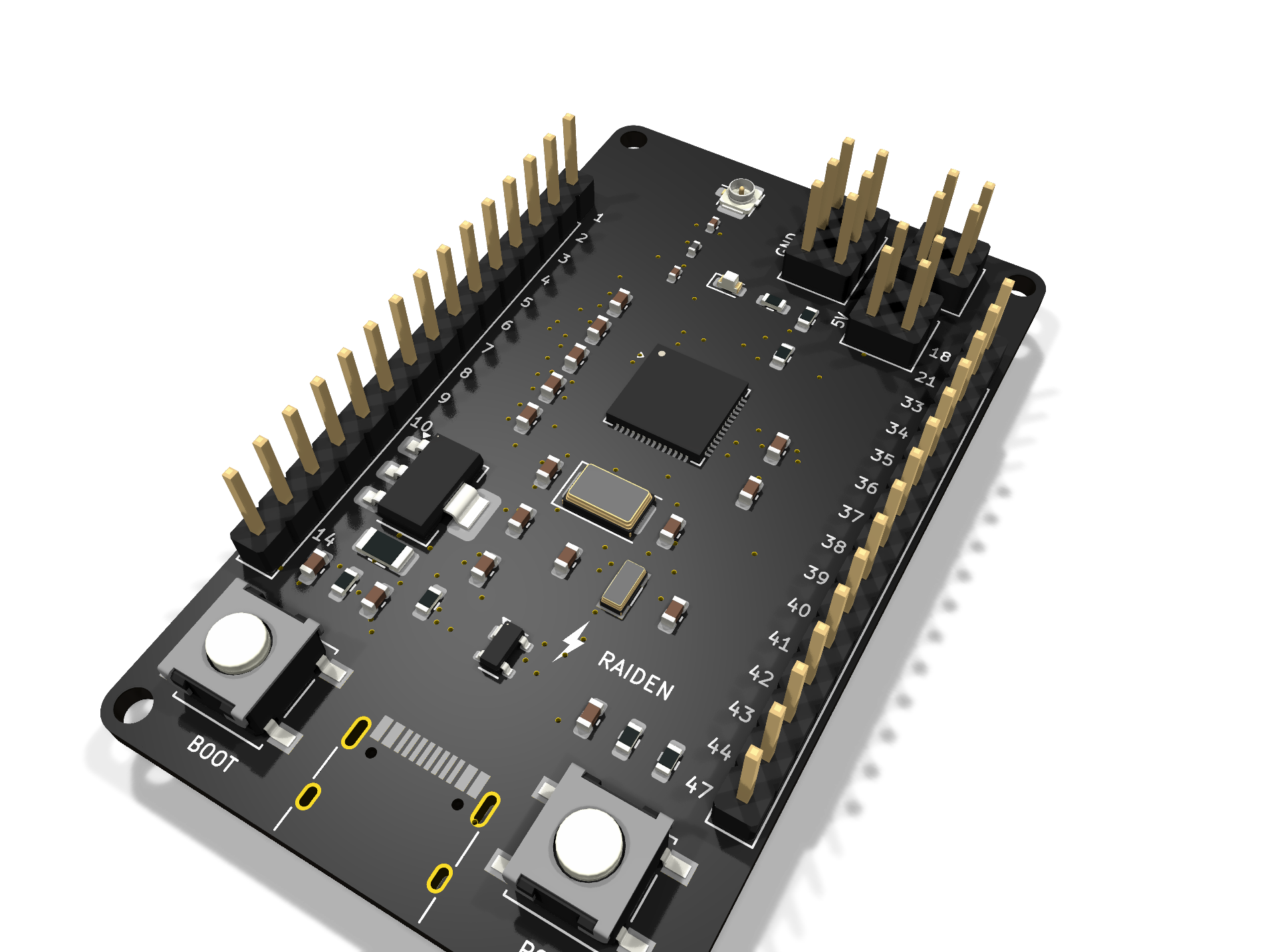 Raiden s01, from the project README