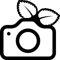 PiGallery2-Plus