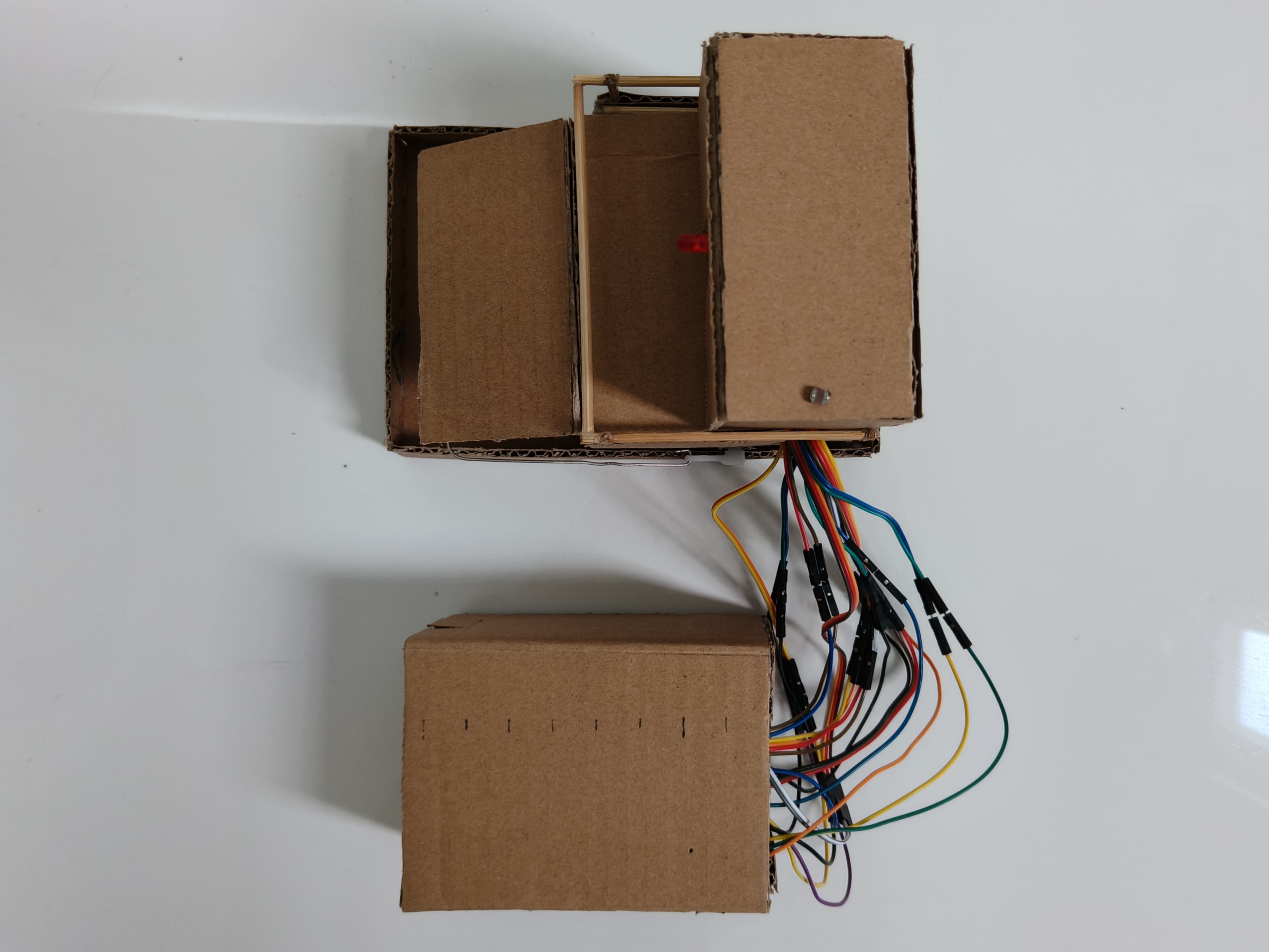 Top View of Light-Responsive Canopy