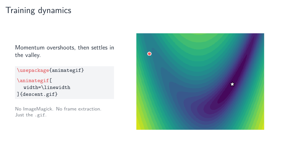 A beamer slide in which \animategif plays a matplotlib animation of gradient descent