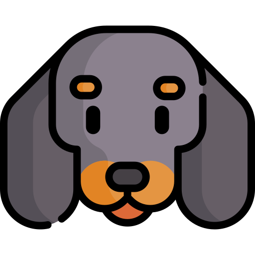 A Dachshund dog