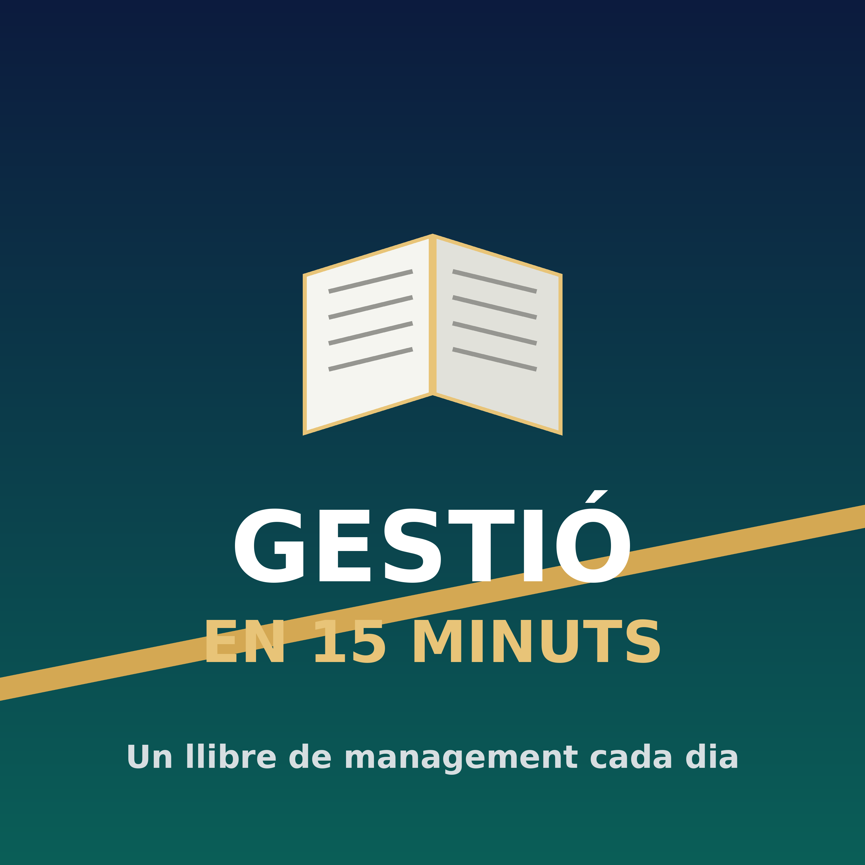 Gestió en 15 Minuts podcast artwork