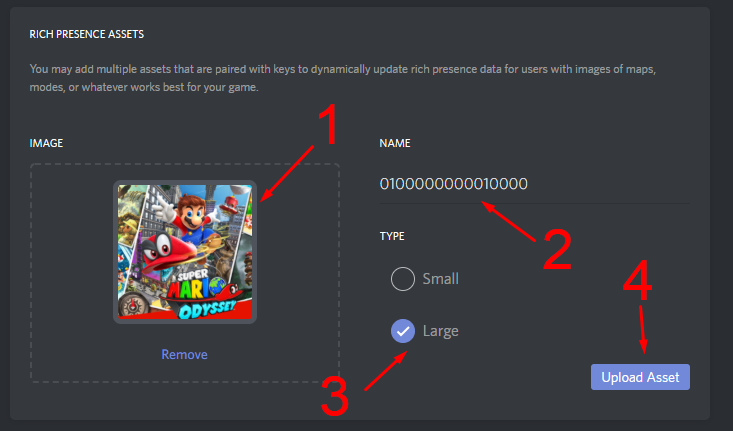 discord on switch