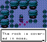 moss-rock