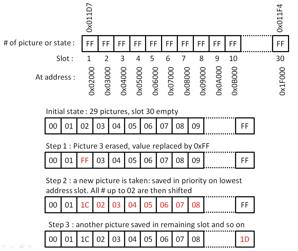 Vector state