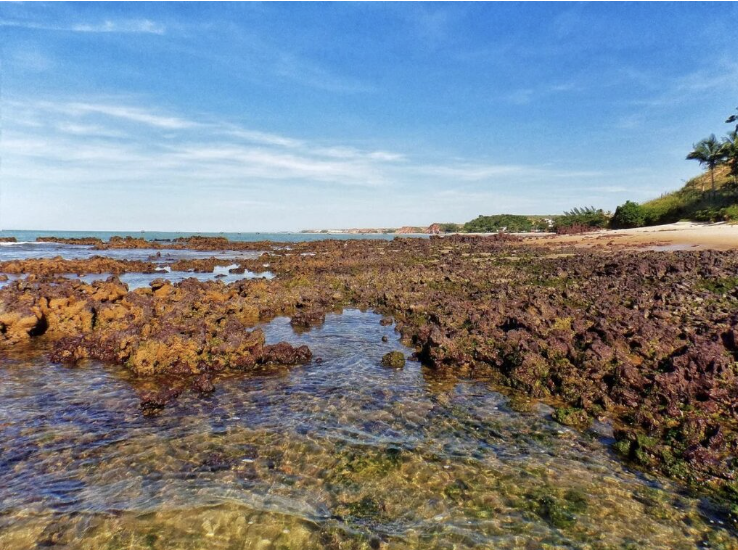 Praia da Rosa