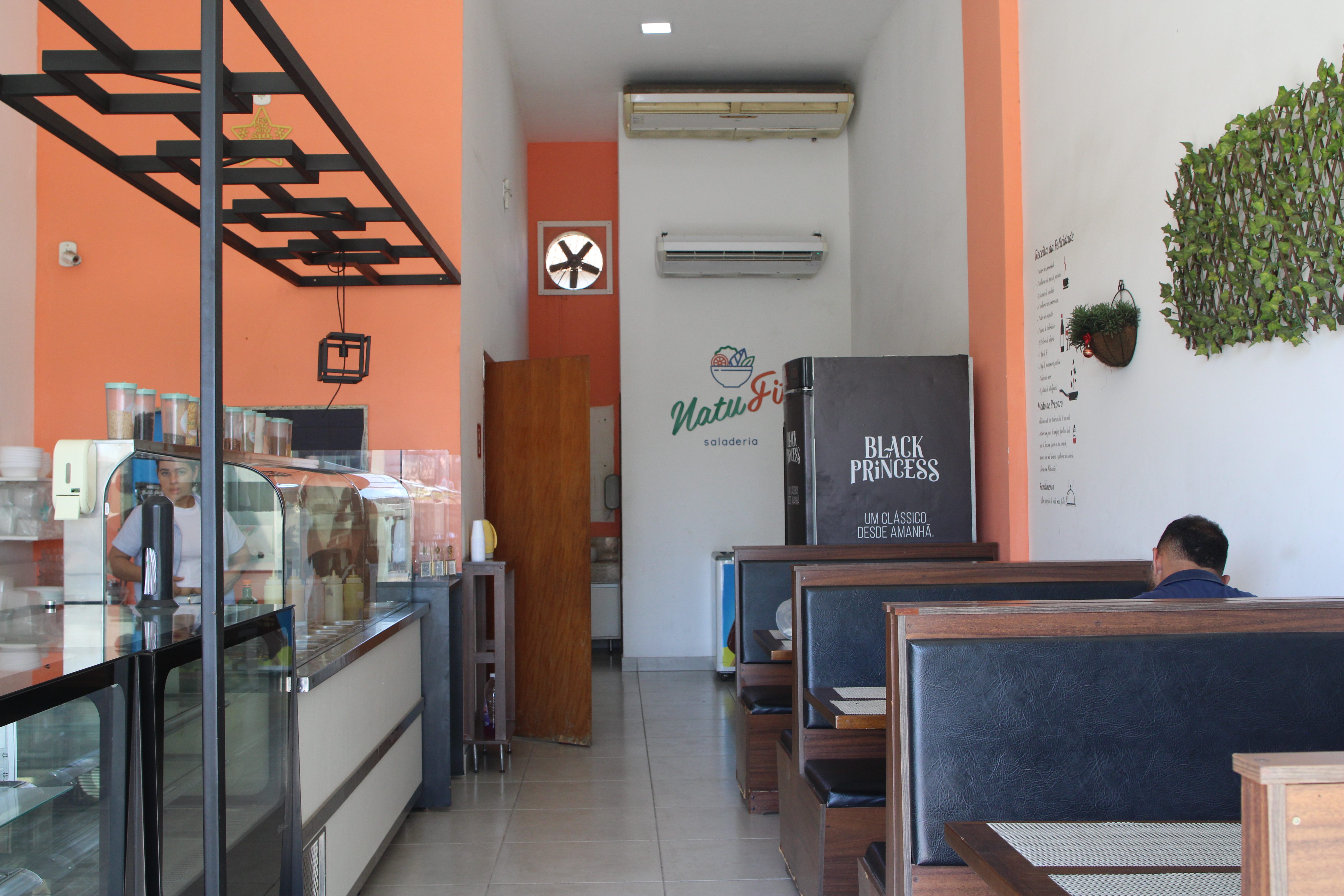 Natufit — ingredientes