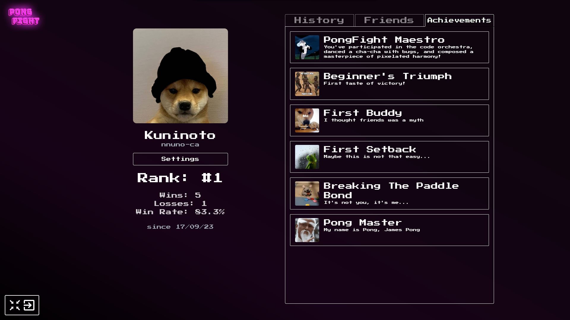 printscreen of the user's profile page