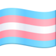Transgender Flag on JoyPixels