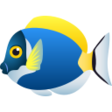 Tropical Fish on JoyPixels